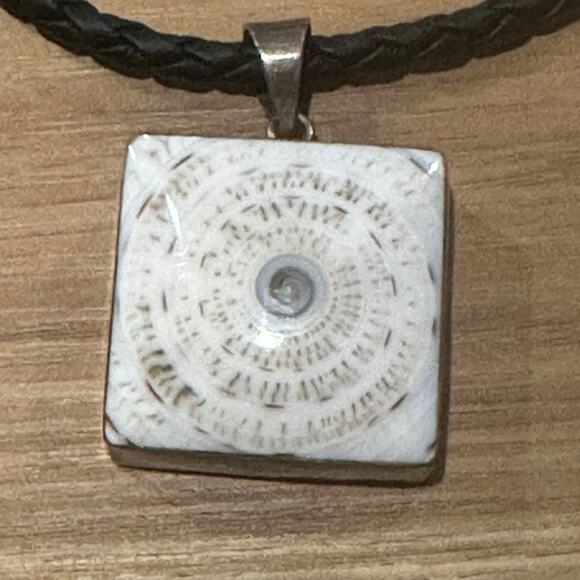 Beautiful Shiva Eye (Pacific Cat’s Eye) Shell Sterling Silver Necklace - Picture 3 of 5